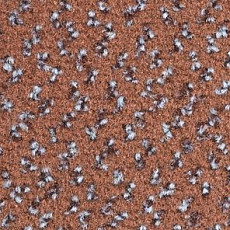 Ковролин Balsan Impression Roll 760 фото 1 | FLOORDEALER